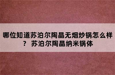 哪位知道苏泊尔陶晶无烟炒锅怎么样？ 苏泊尔陶晶纳米锅体